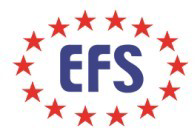 EFS Global logo